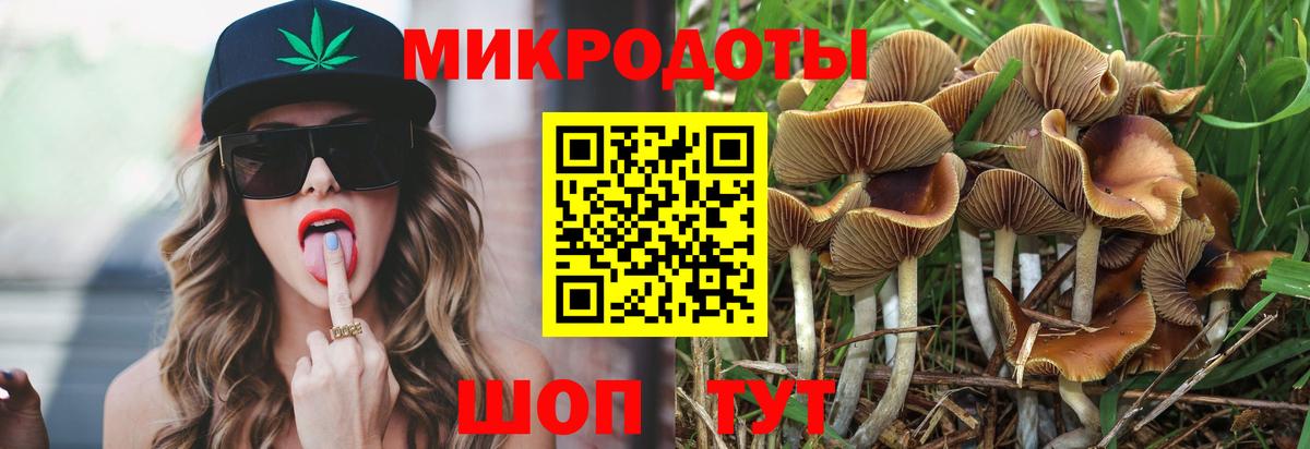 Краснодар  Галлюциногенные грибы прущие грибы  Вход с VPN  Галлюциногенные грибы мухоморы 